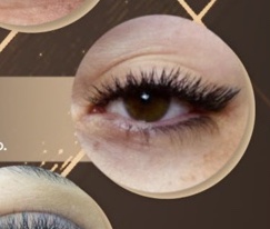 Fox Eyes